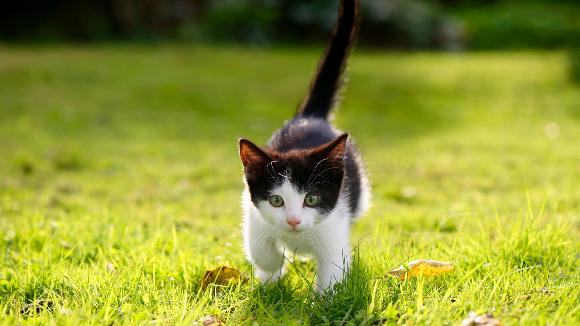 CBA官方公布下赛季比赛日程，cba赛程2021下半年