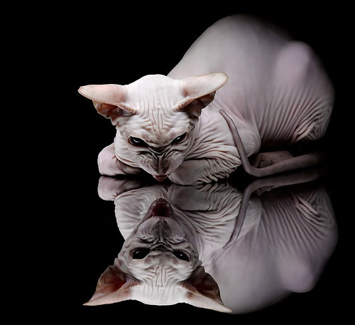 CBA官方公布下赛季比赛日程，cba赛程2021下半年