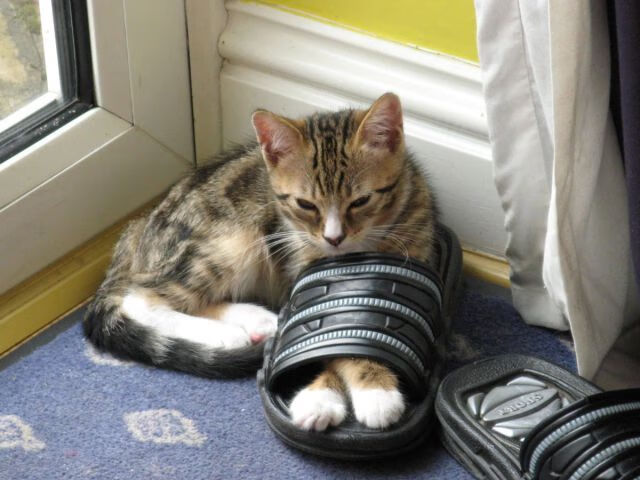 “高新体育中心沙滩排球:速度、耐力与技巧的完美展示”