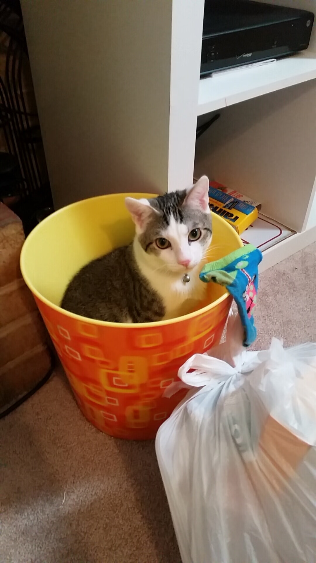 五大联赛是否因战术多样化导致节奏适配周期延长,五大联赛形势