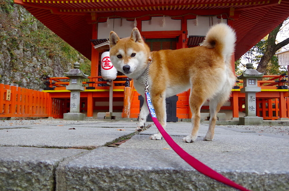 体育新闻中心发布新兴体育项目传播推广指南,新兴体育活动类