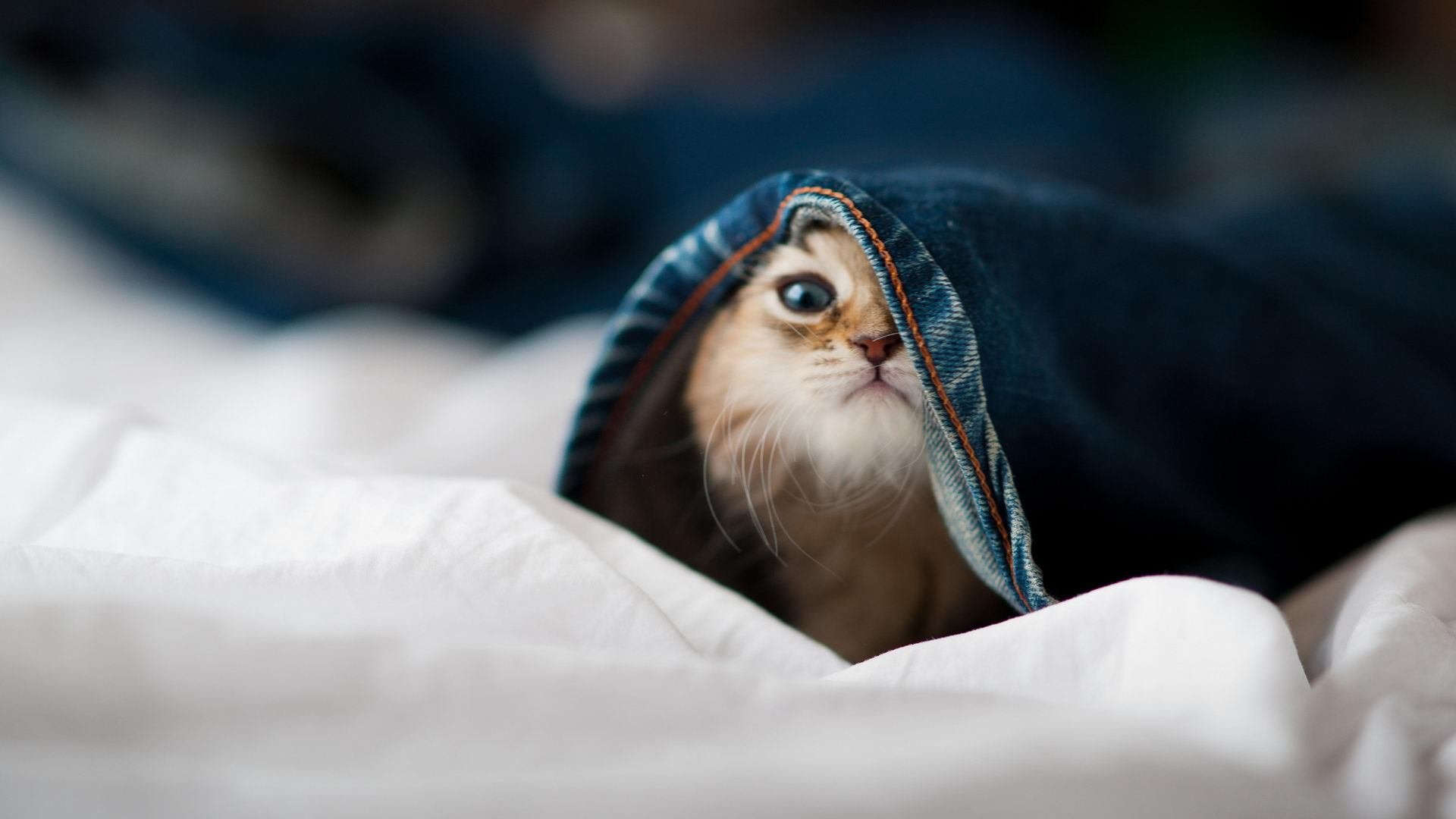 kaiyun体育综合-强侧逼抢引诱对方转移失误