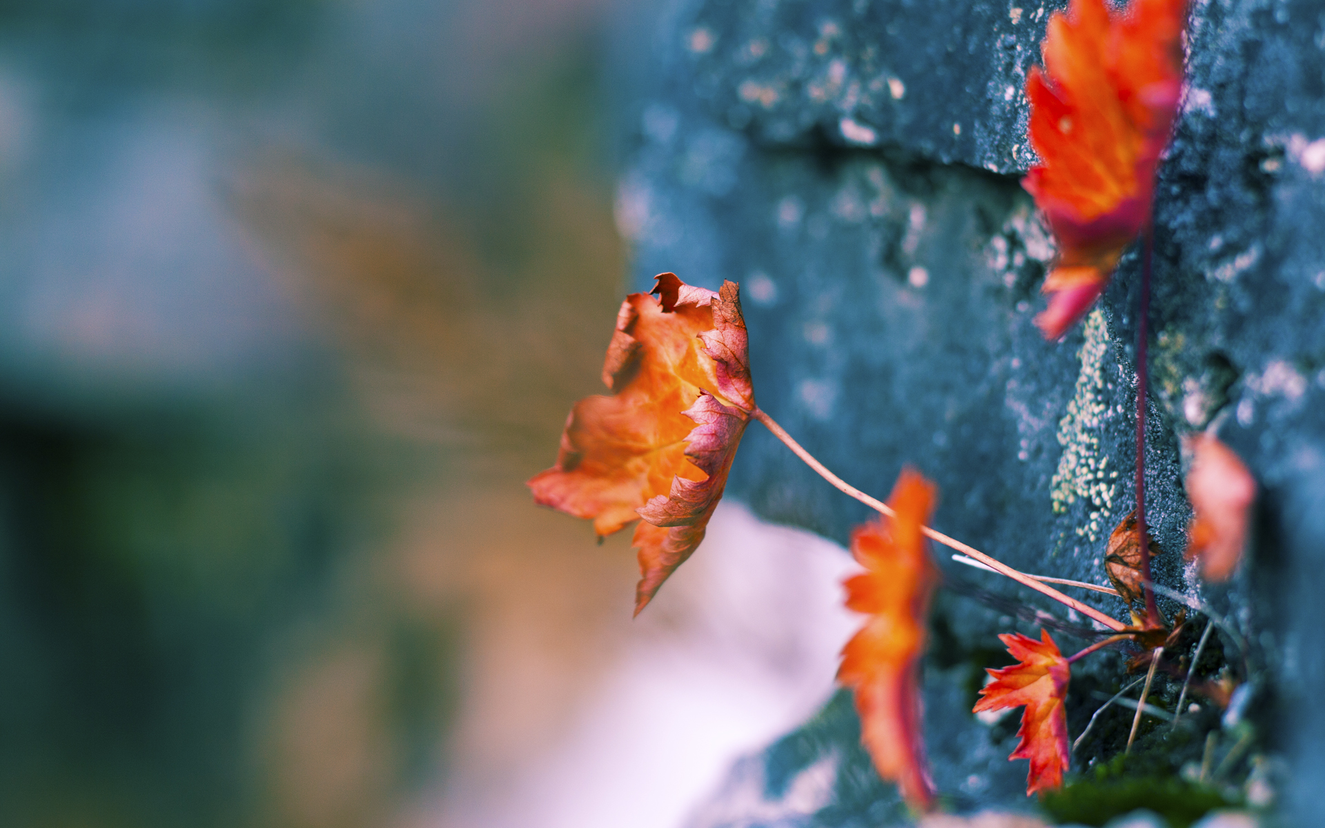 kaiyun.com-球队是否构建应对反击失败后的压迫回防机制，面对这么多的困难,球队怎么能赢得比赛呢