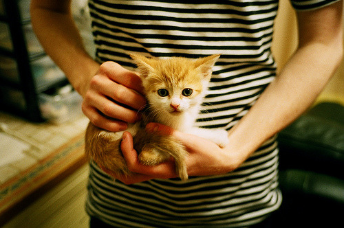 训练方式不断优化助力成绩突破，训练原则优化的内容