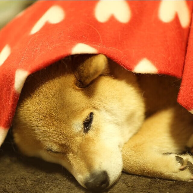 Kaiyun(中国)开云-世界杯激情夜：精彩瞬间引爆全场！，世界杯锦集视频