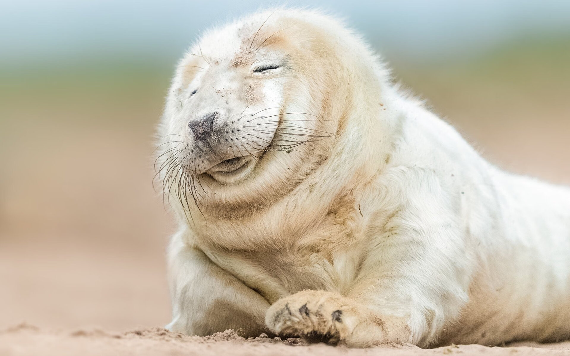 乌干达男篮在非洲预赛中披荆斩棘,迈入巅峰之路,乌干达篮球联赛视频