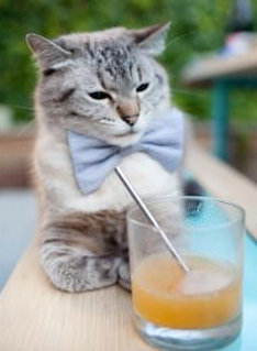 两队风格迥异，对抗看点十足，两队对决