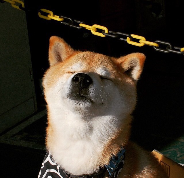 中国篮球俱乐部场馆设施维护与安全规范标准,篮球场馆建设