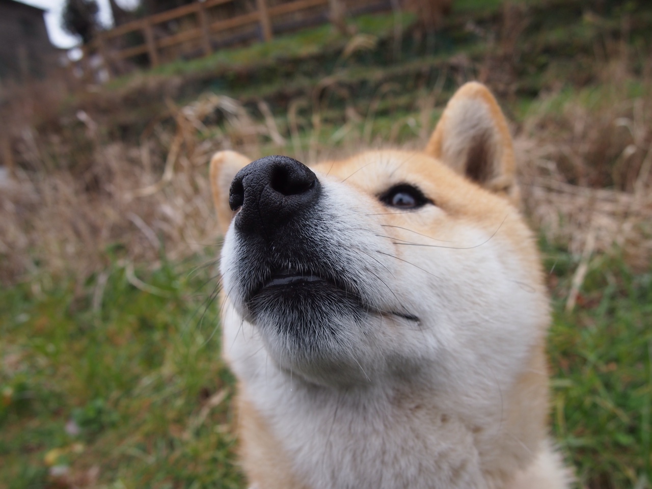 中国篮球如何构建本土教练人才梯队,中国篮球教练工资多少