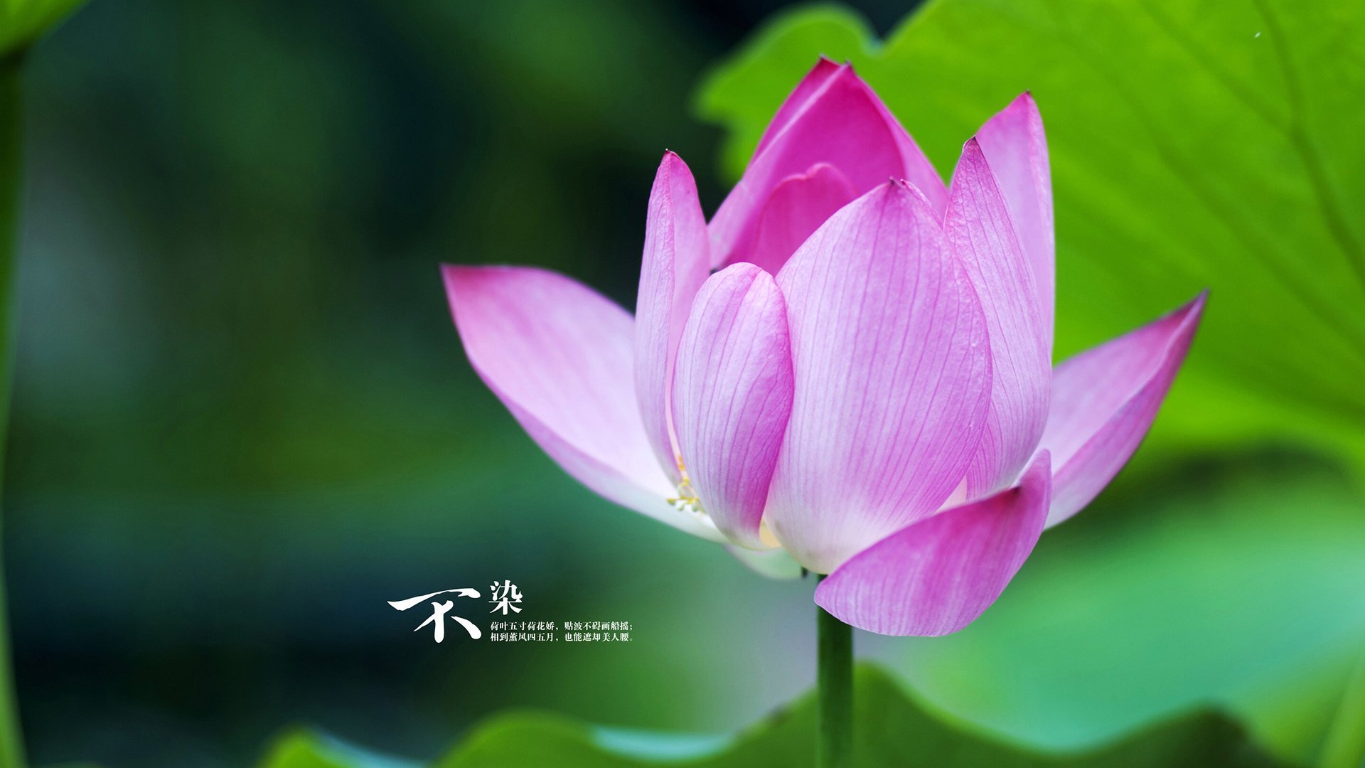 中国足球是否应在西部地区重点投资，中国足球都规划谁了