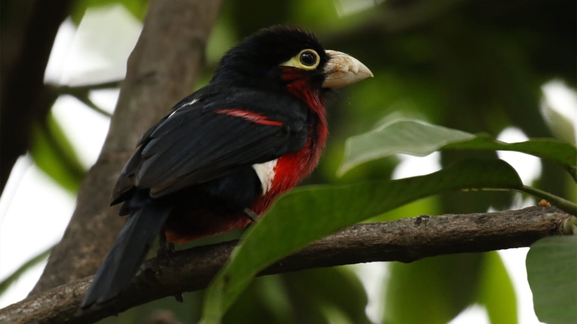 中国足球训练中高温环境下体能负荷监控技术，足球课运动负荷的分析