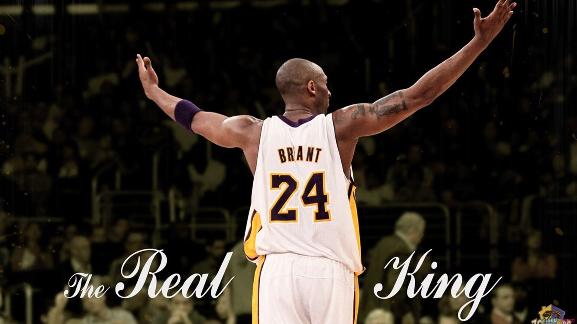 欧冠小组赛：巴萨6比2大胜布鲁日 佩德里、加维合造四球诠释“新拉玛西亚”